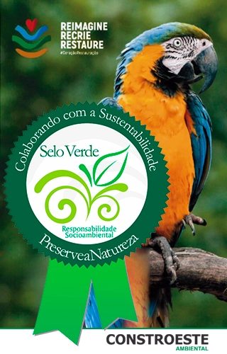 Colaborando com a sustentabilidade